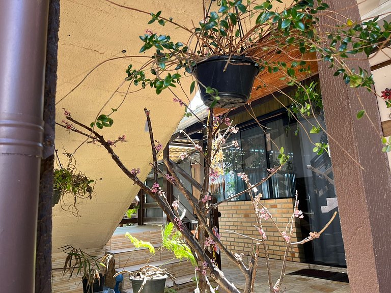 Apartamentos próximo a praia de Armação e Beto Carrero