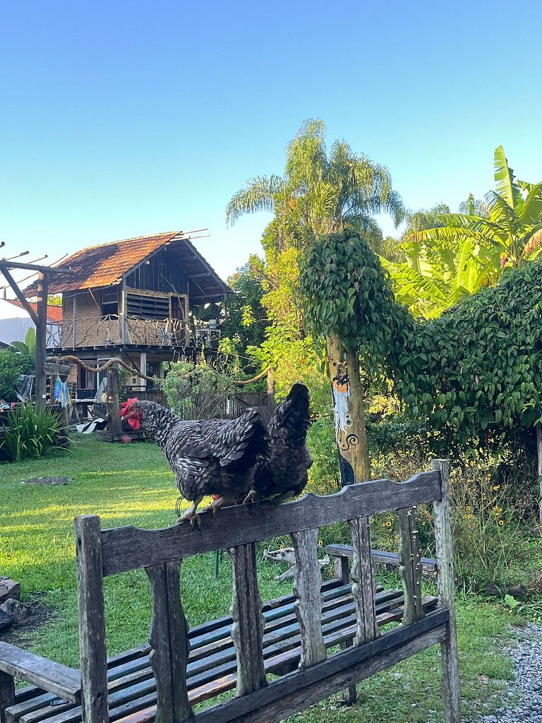 Waldhütte - Kunst am Land