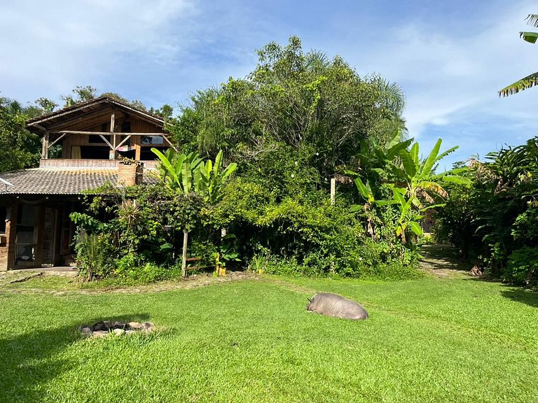 Tudo é Arte Retreat - A Creative Haven Between Nature and Se