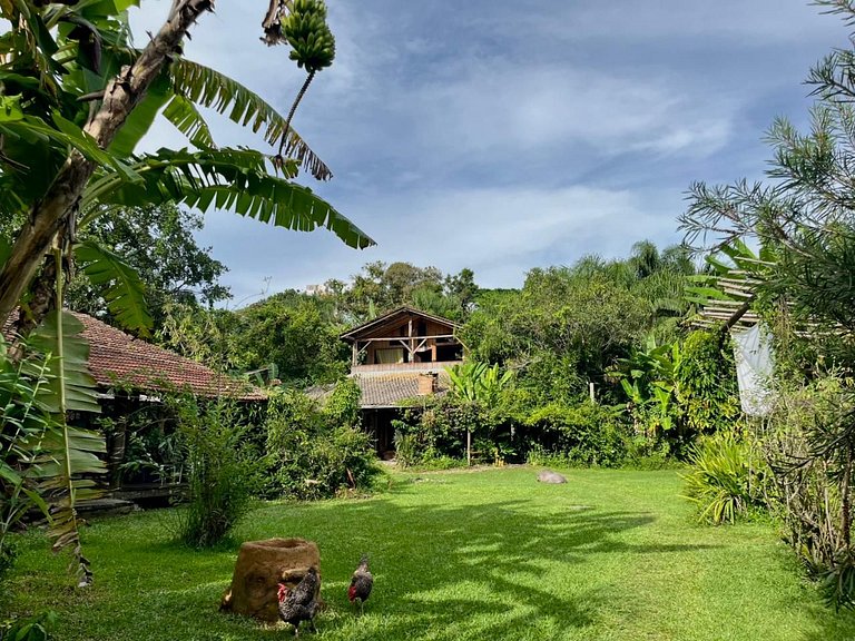 Tudo é Arte Retreat - A Creative Haven Between Nature and Se